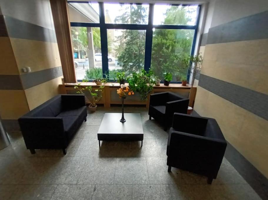 Fantastic Zg - S4 Pokoj 205 Зелёна-Гура Экстерьер фото